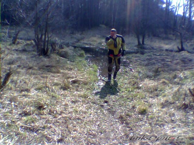 Photo 982582
