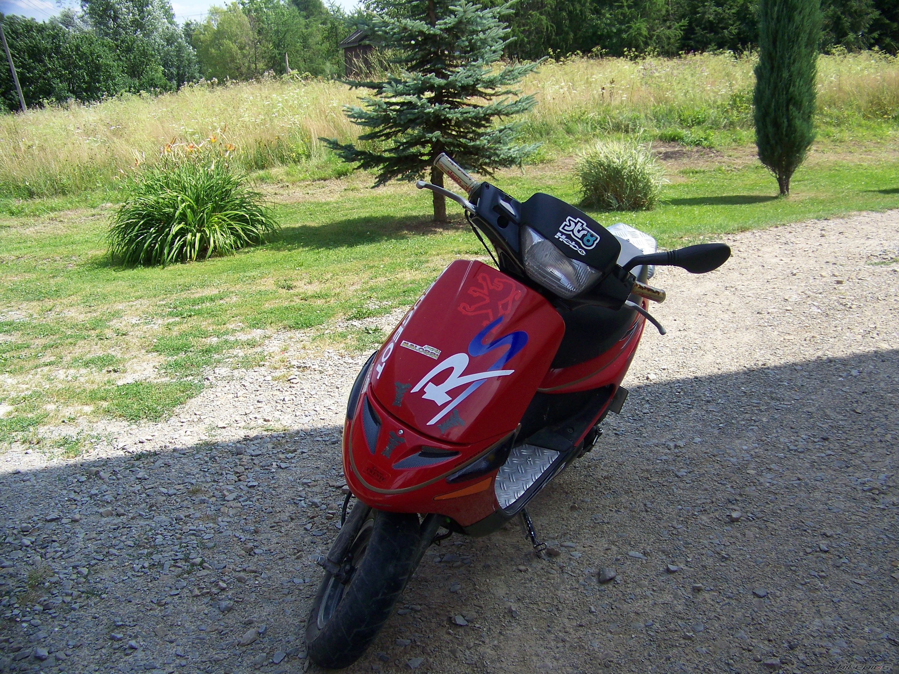 Photo 982624