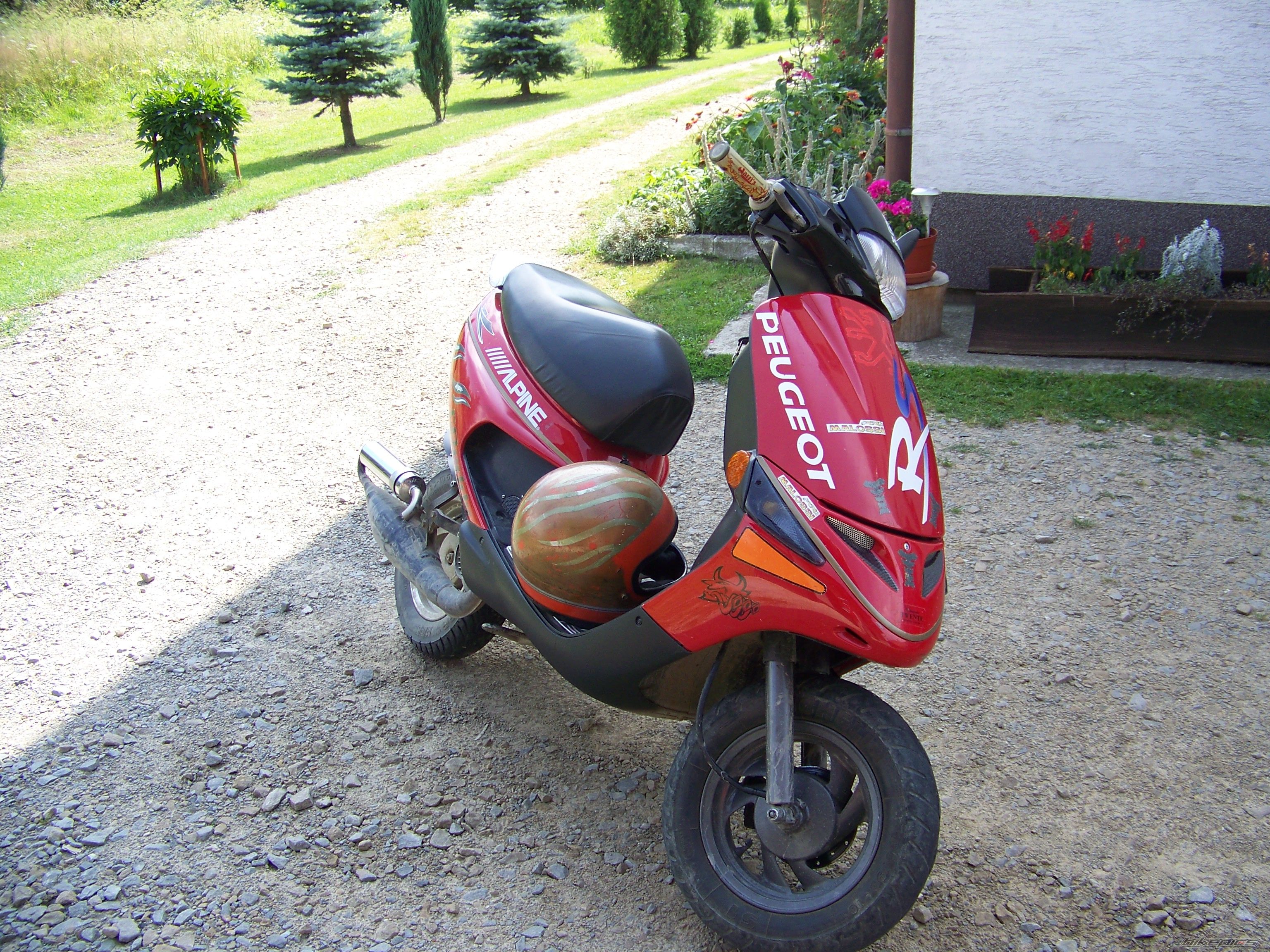 Photo 982635