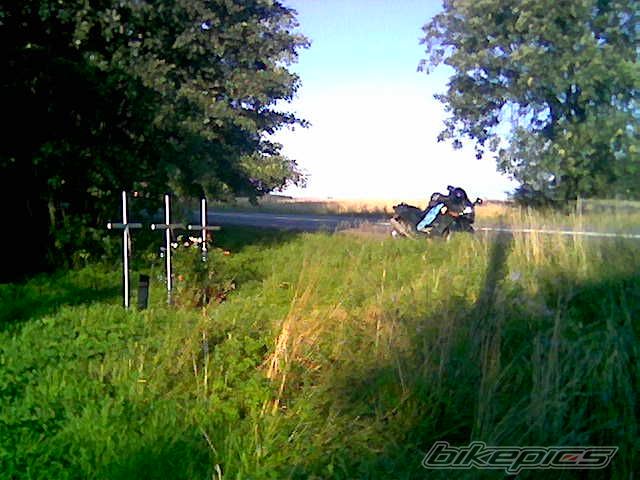 Photo 982655