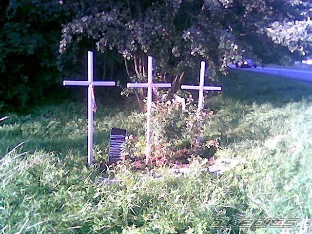 Photo 982656