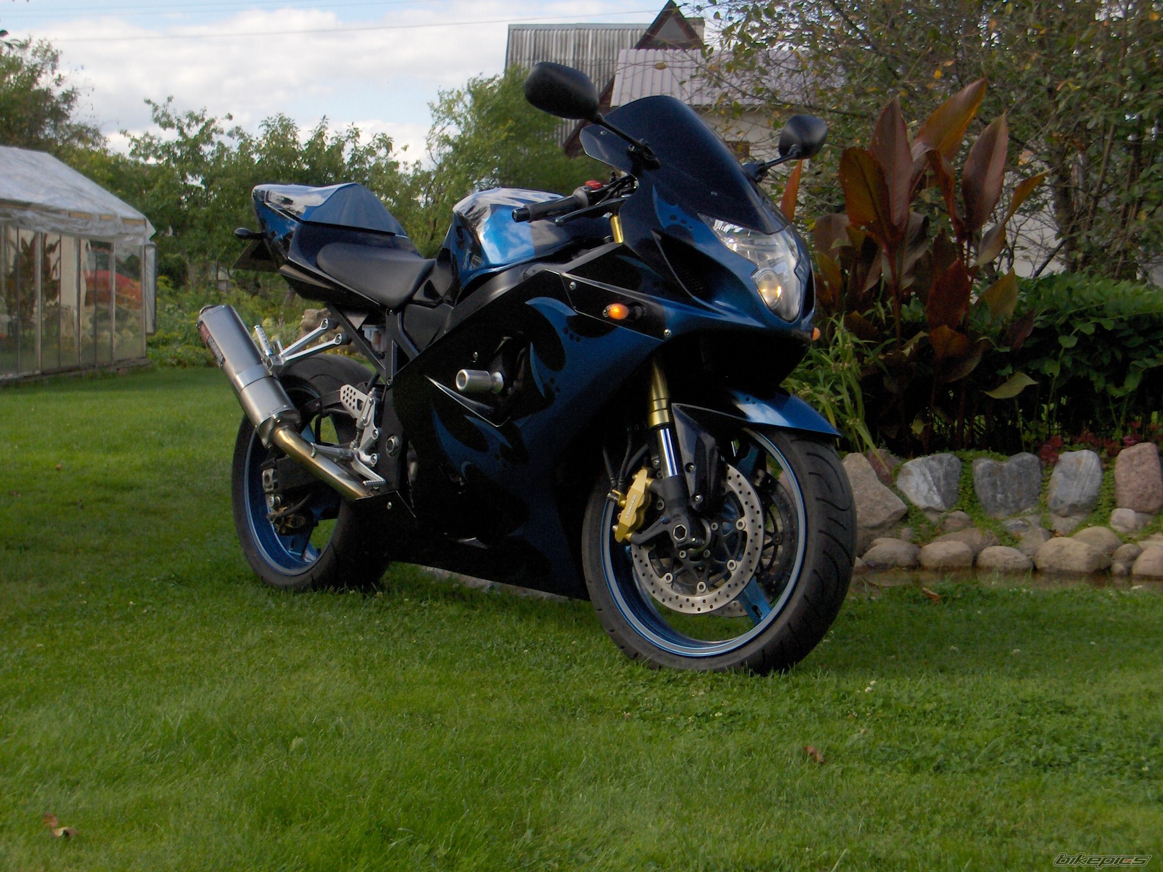 Photo 982661