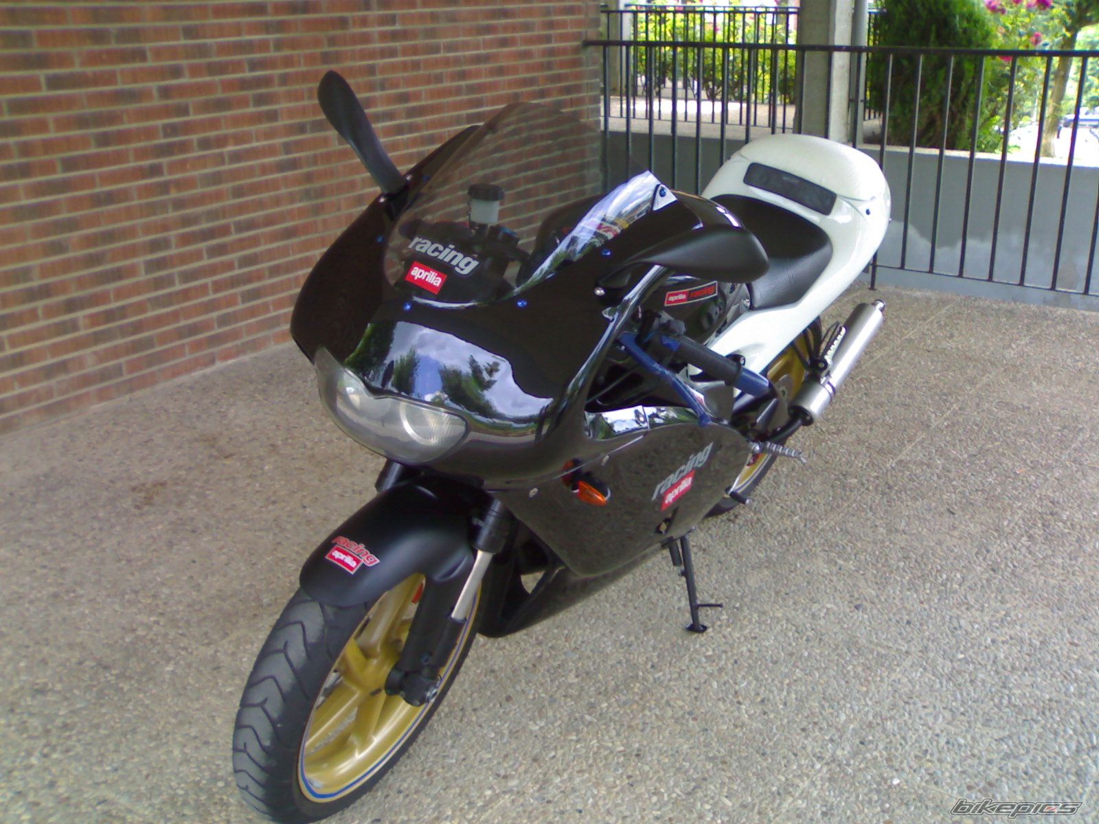 Photo 982679