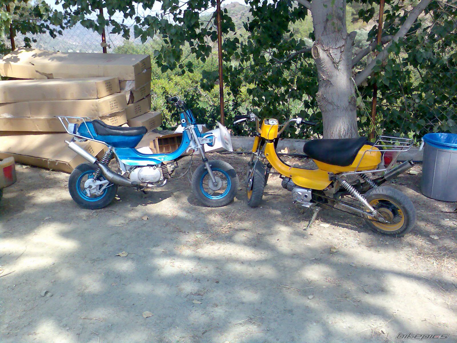 Bike Photo 982742