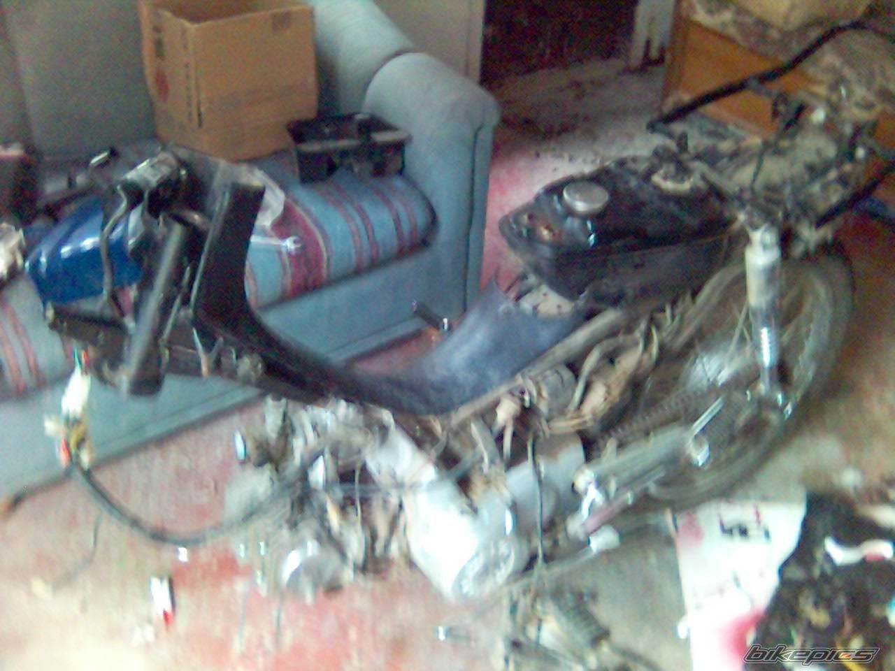 Photo 982750