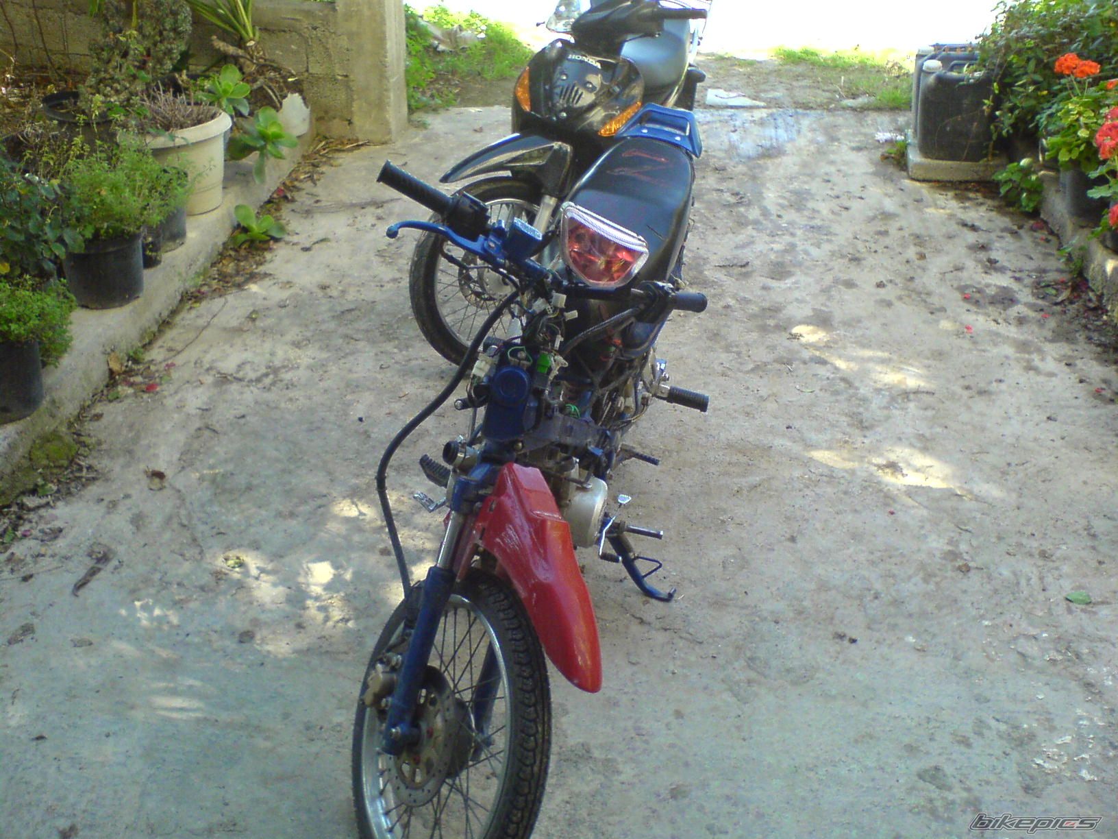 Photo 982755