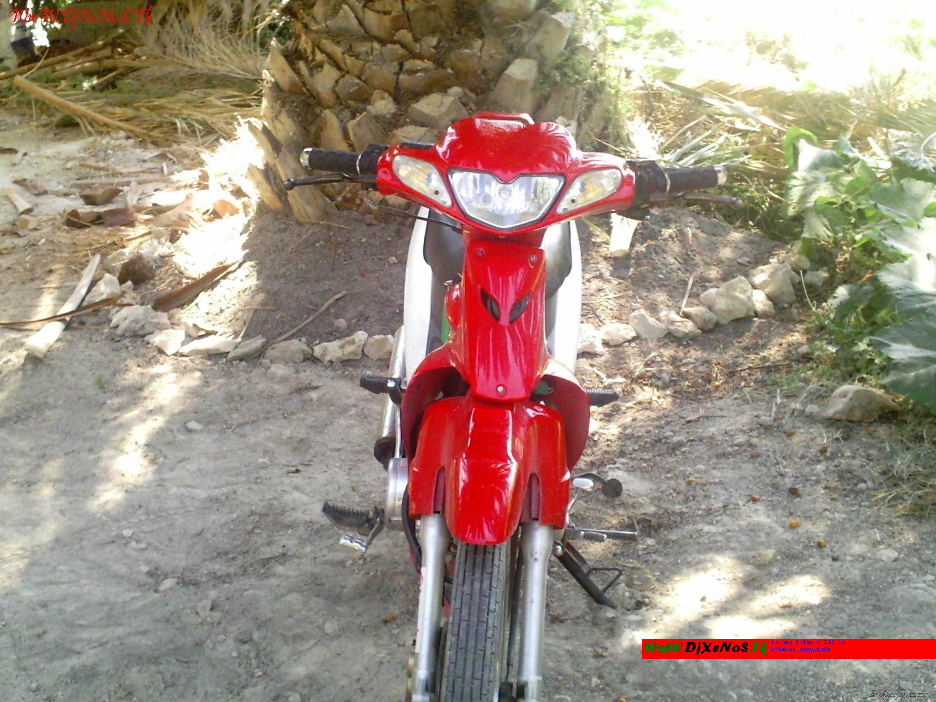 Photo 982756