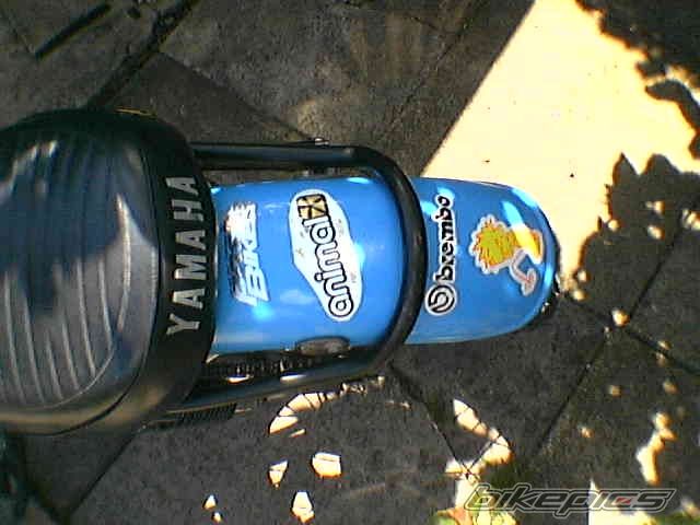 Bike Photo 982795