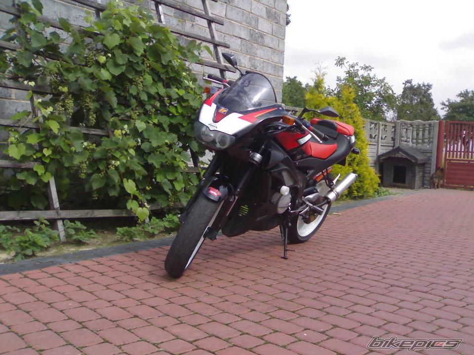 Photo 982828