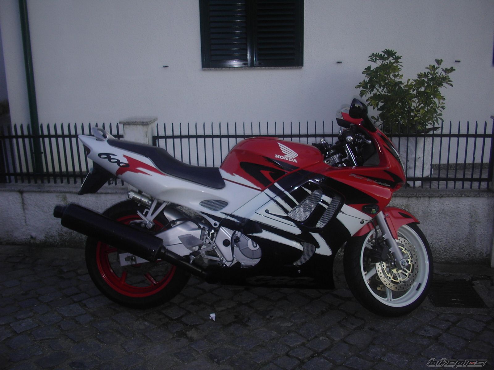 Photo 982879