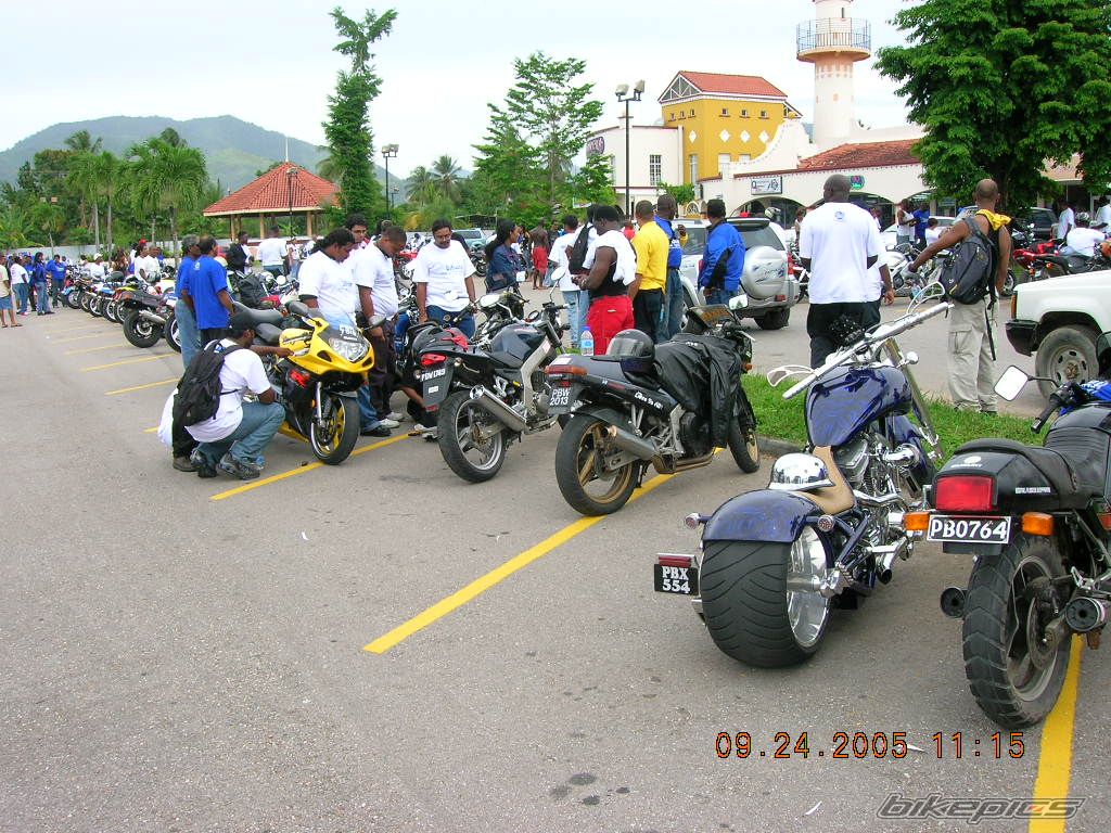 Photo 982923