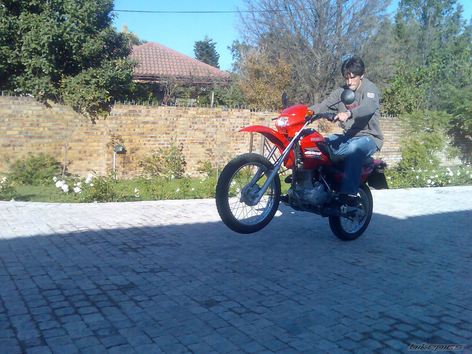 Photo 982942