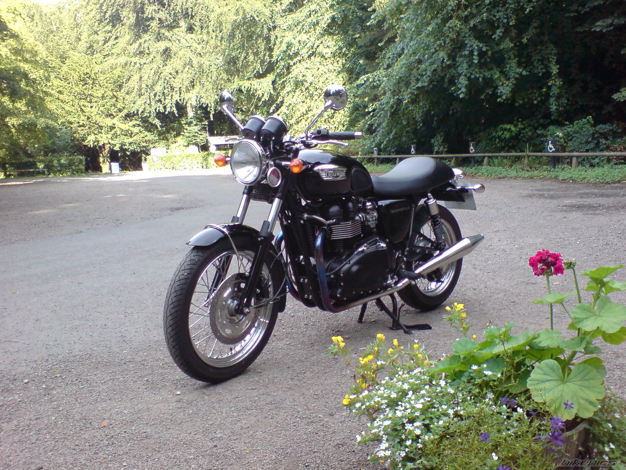 Photo 982992