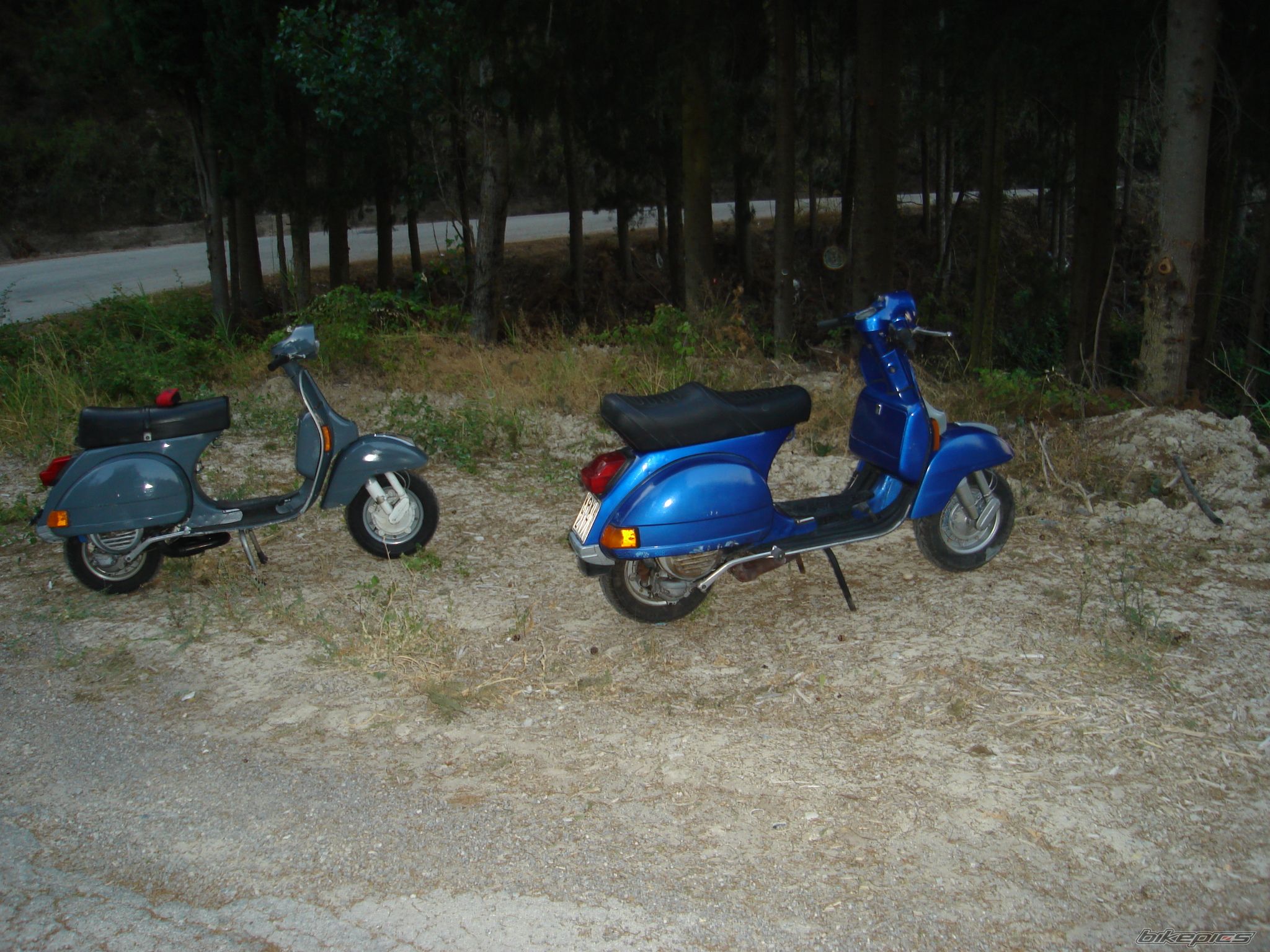Photo 982999