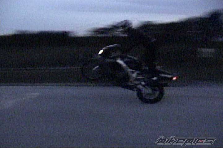 Photo 9831