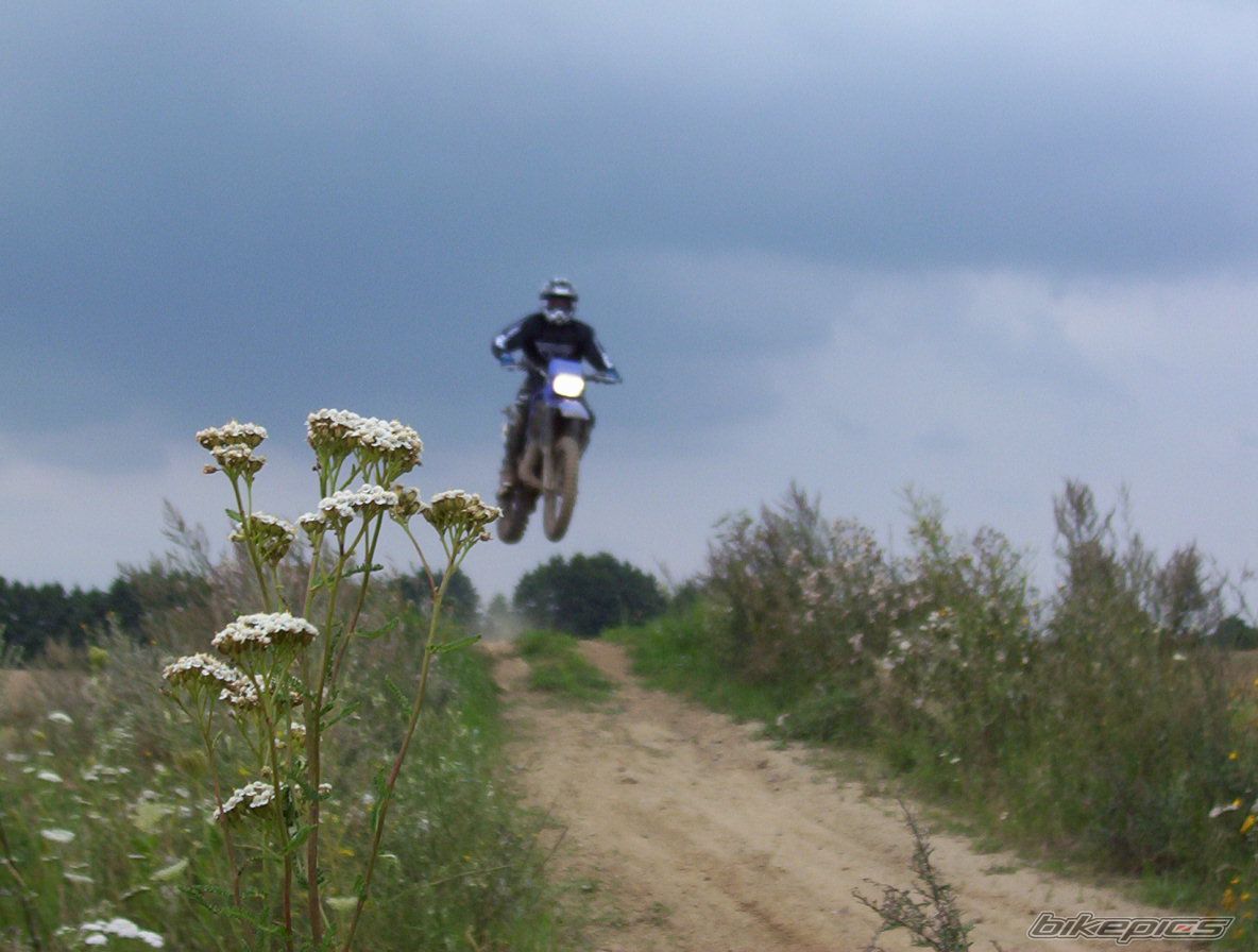 Photo 983164