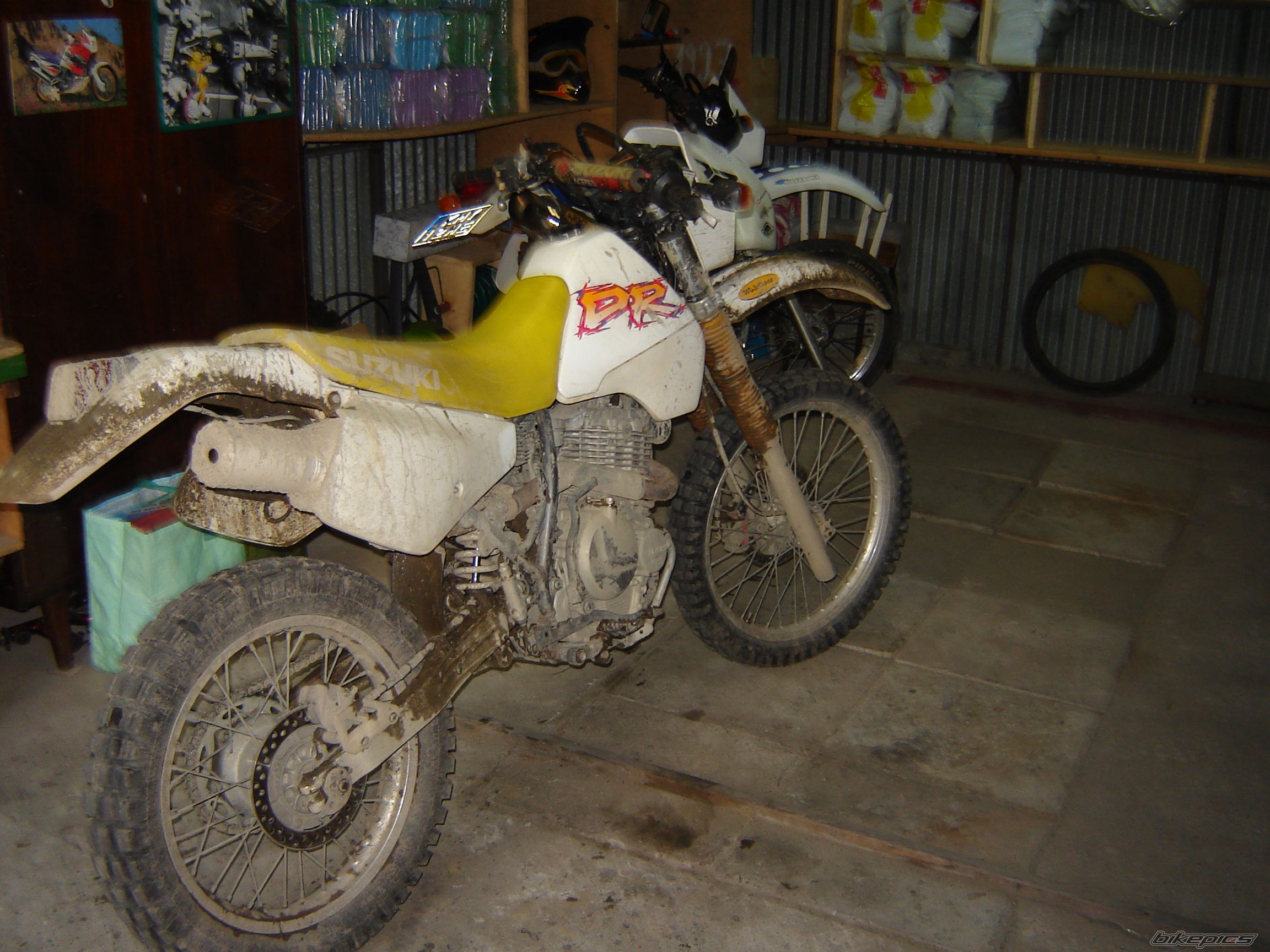Photo 983292
