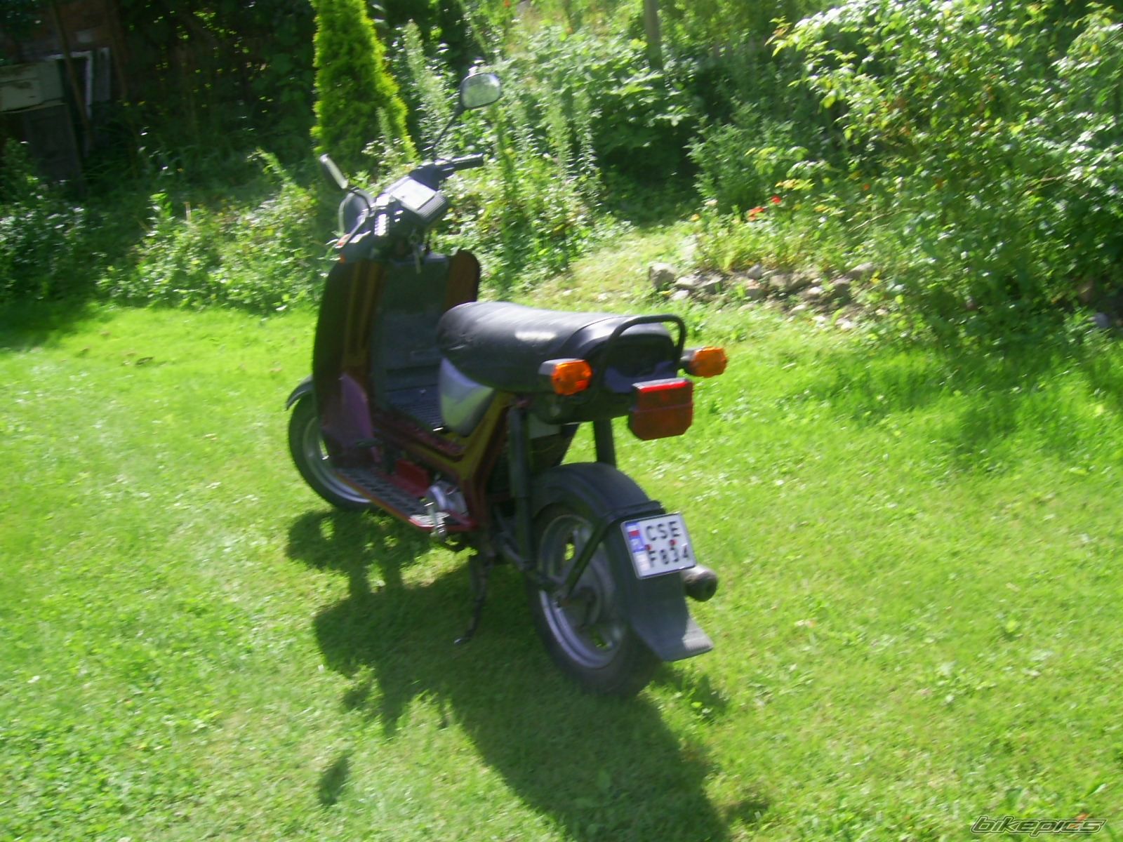 Photo 983551