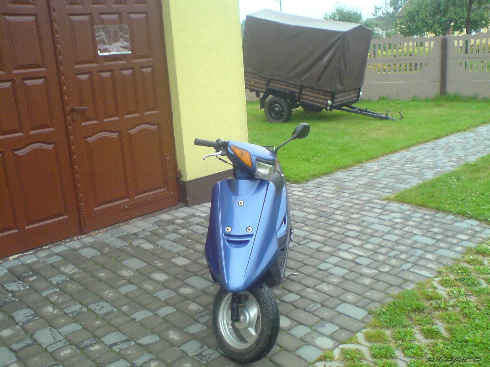 Photo 983611