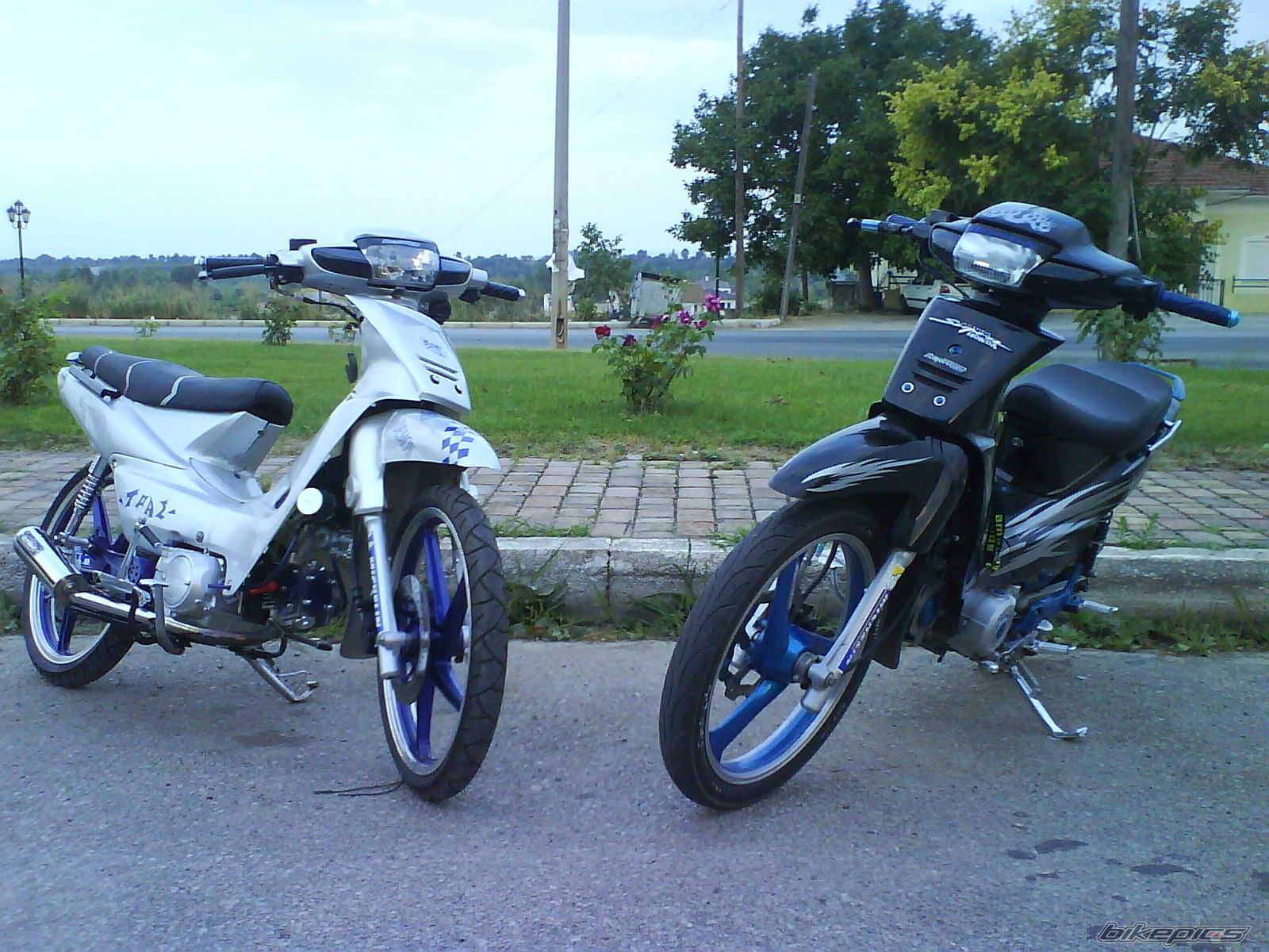 Photo 983614