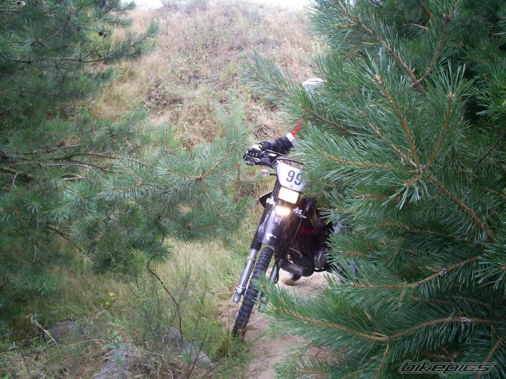 Photo 983662
