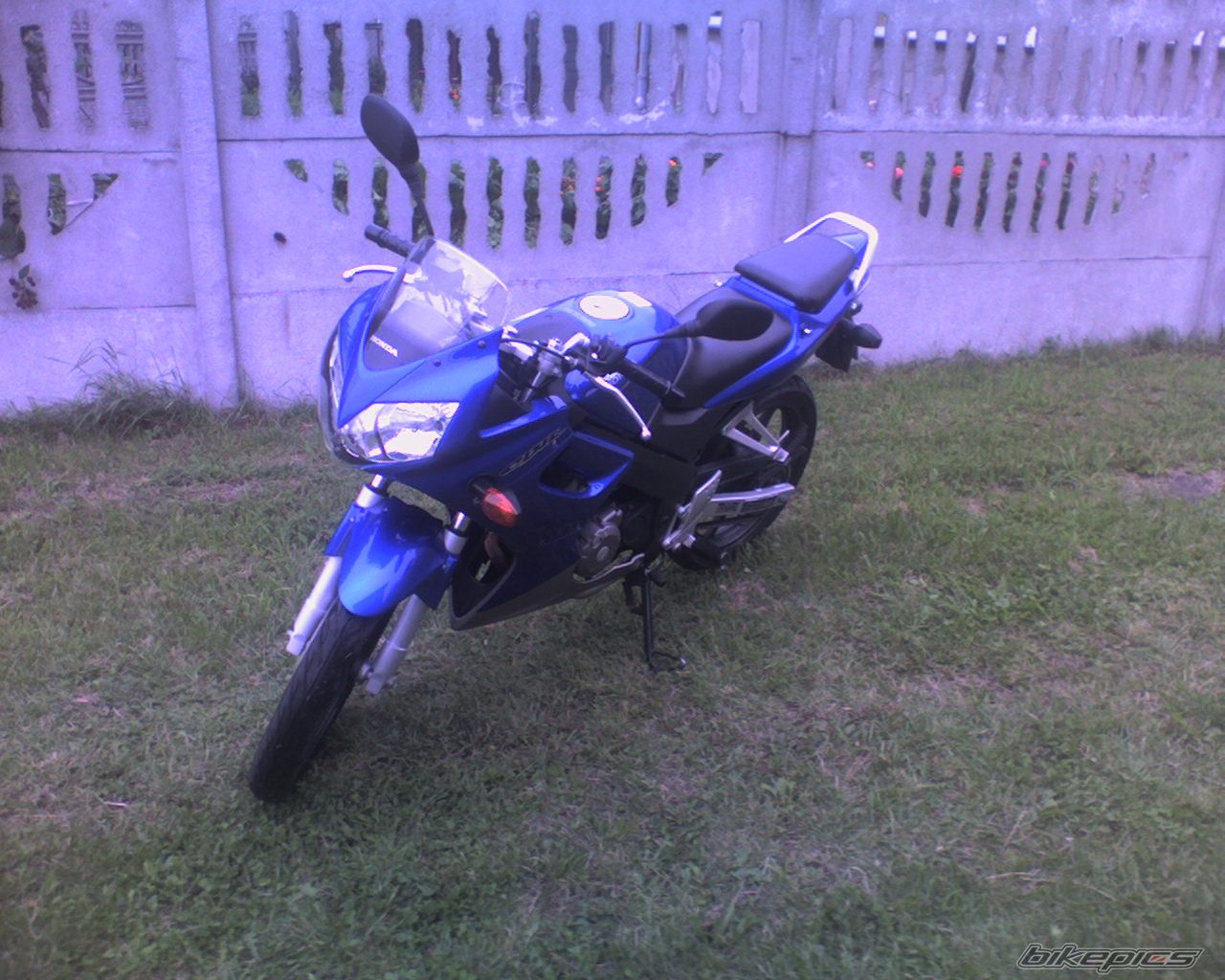 Photo 983673