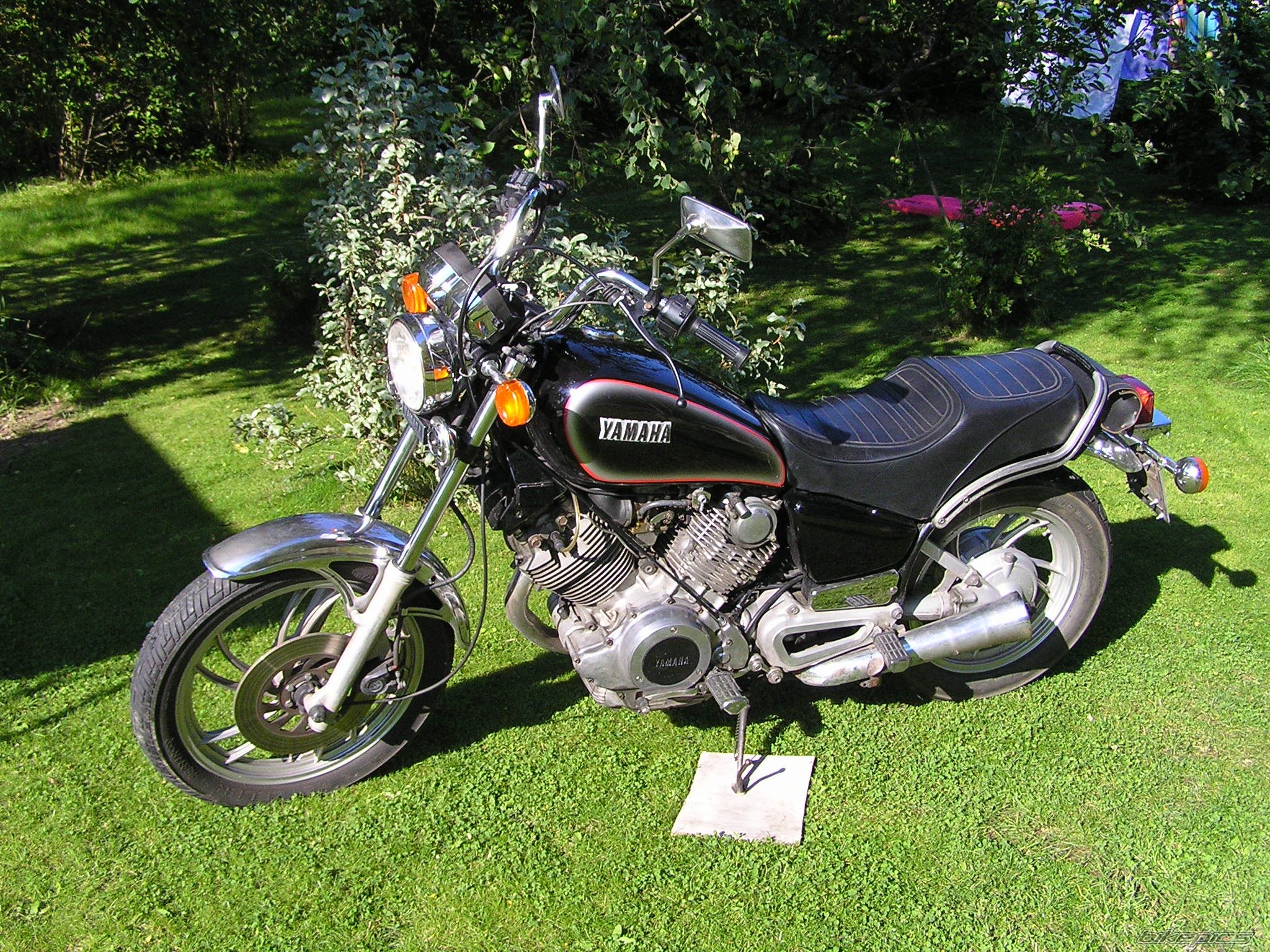 Photo 983723