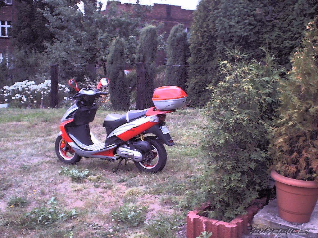 Photo 983817