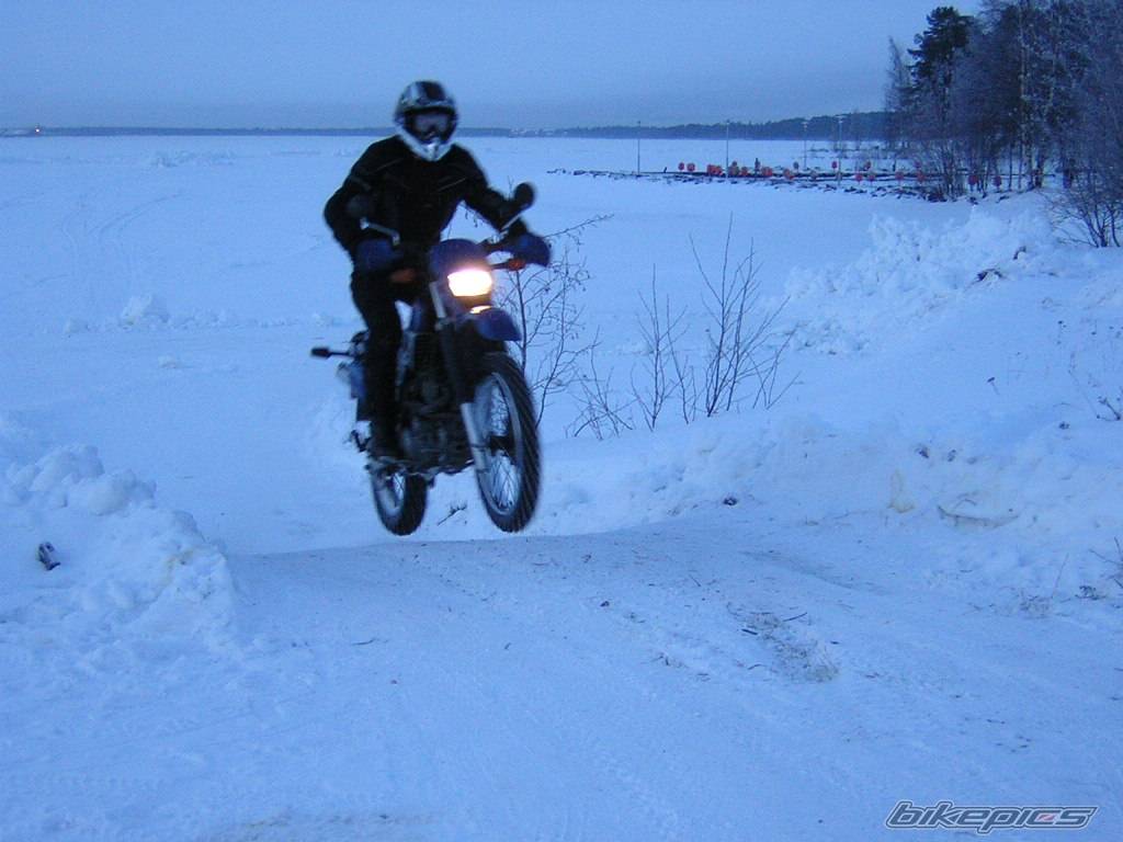 Bike Photo 98385