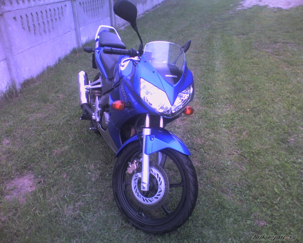 Photo 983886