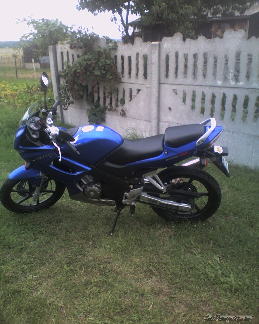 Photo 983895
