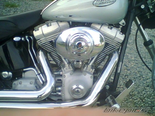 Photo 983905