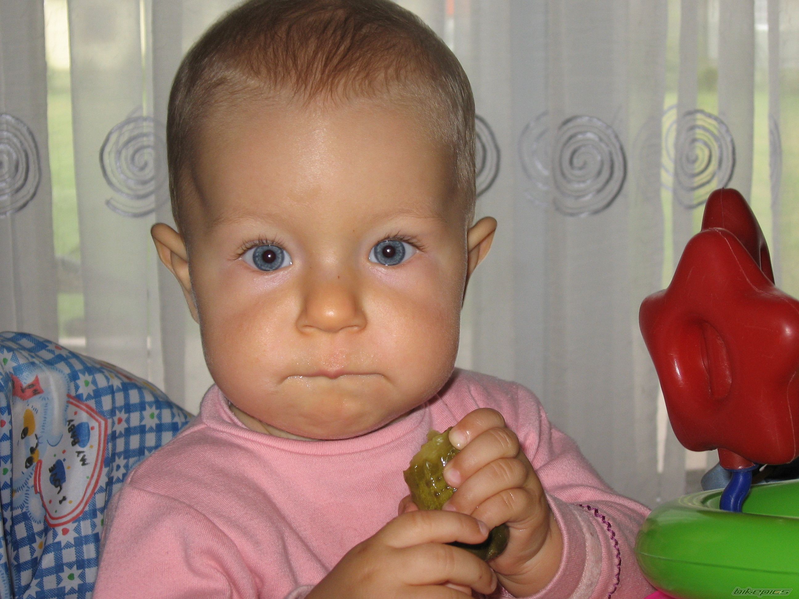 Photo 983963