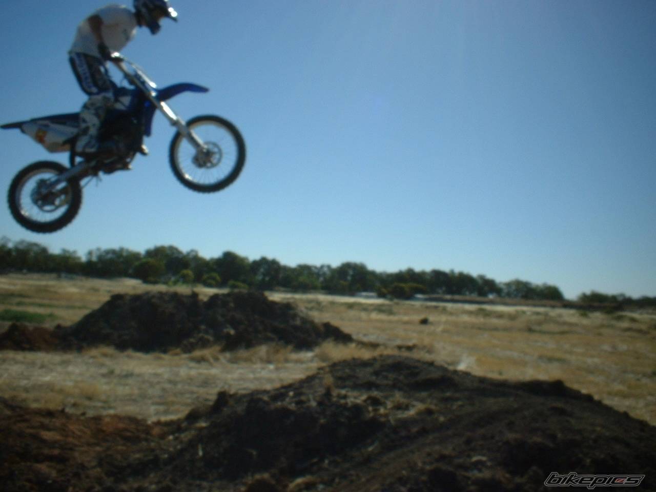 Photo 98397