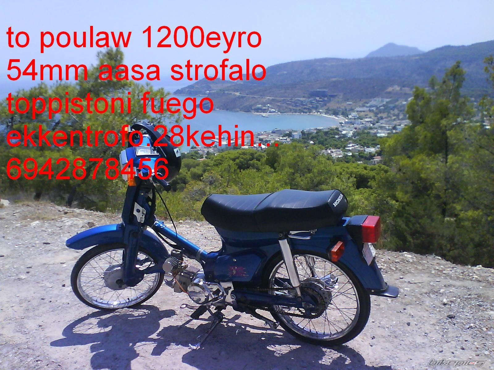 Photo 984020