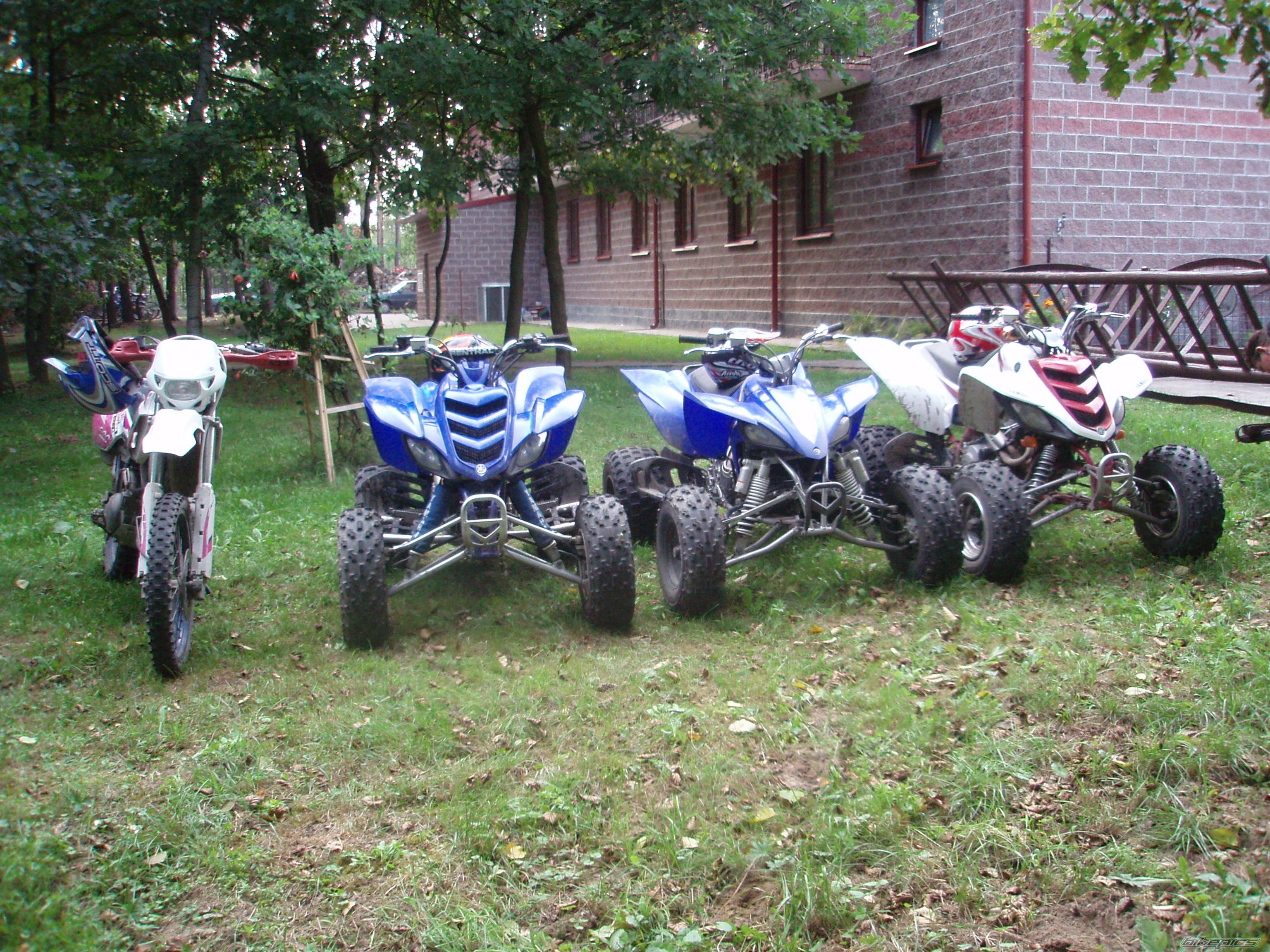 Photo 984243