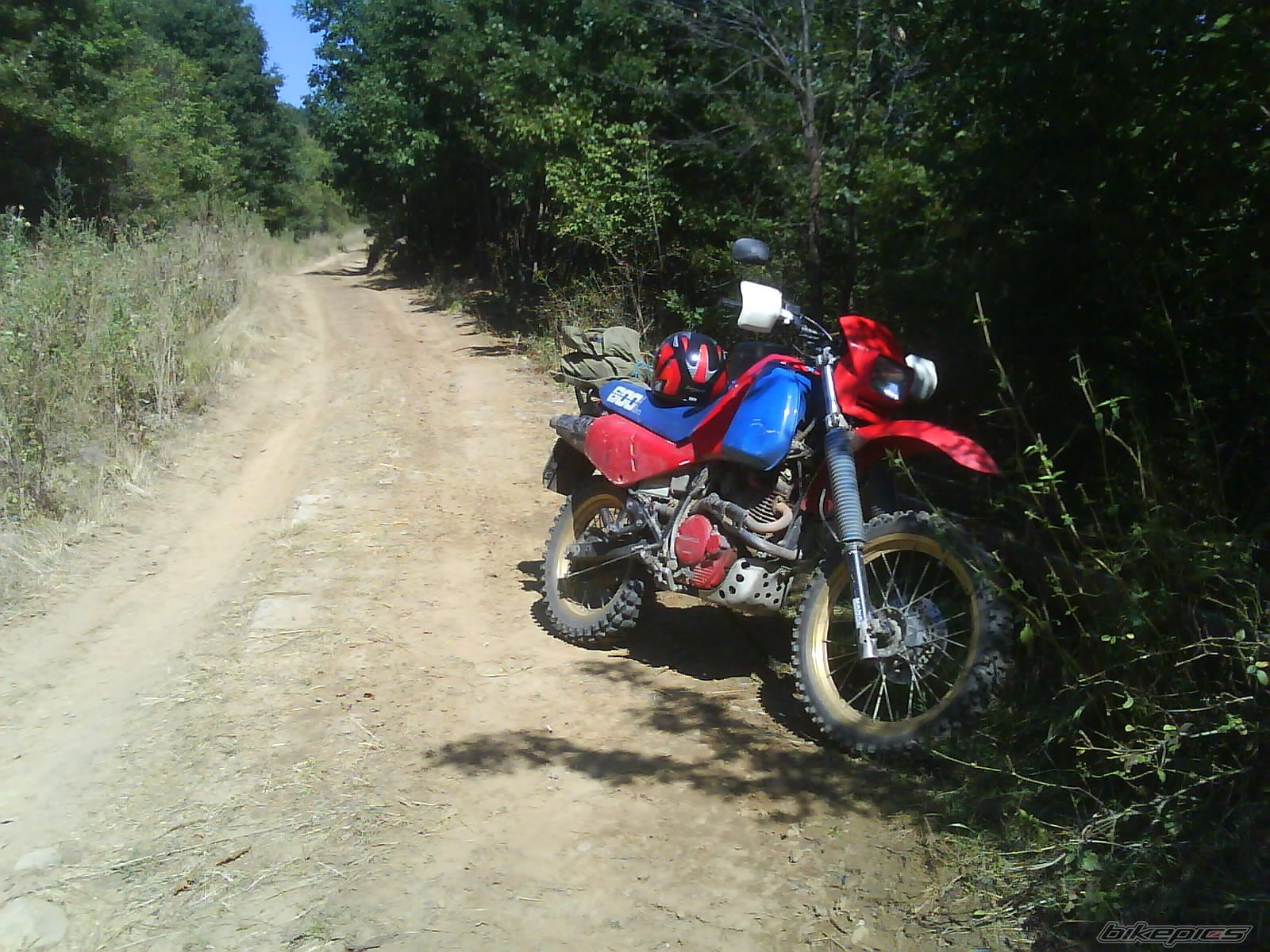 Bike Photo 984371