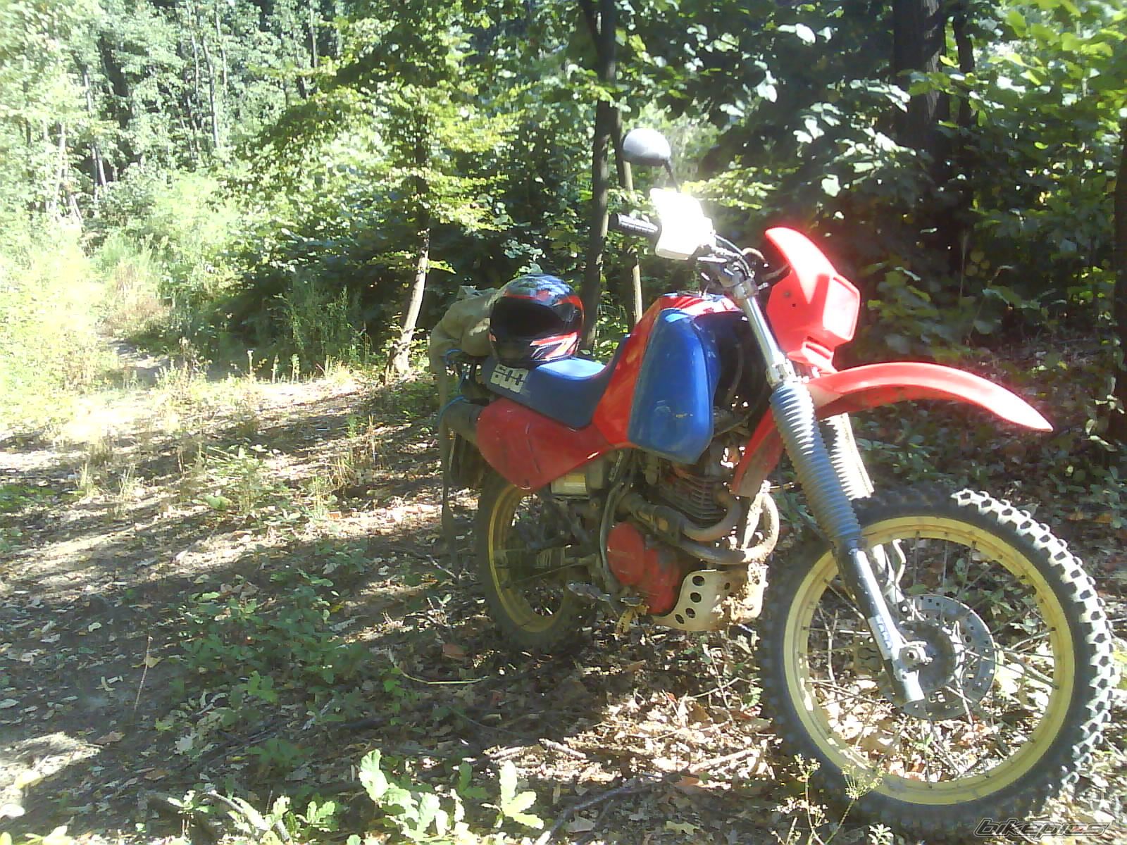 Bike Photo 984376