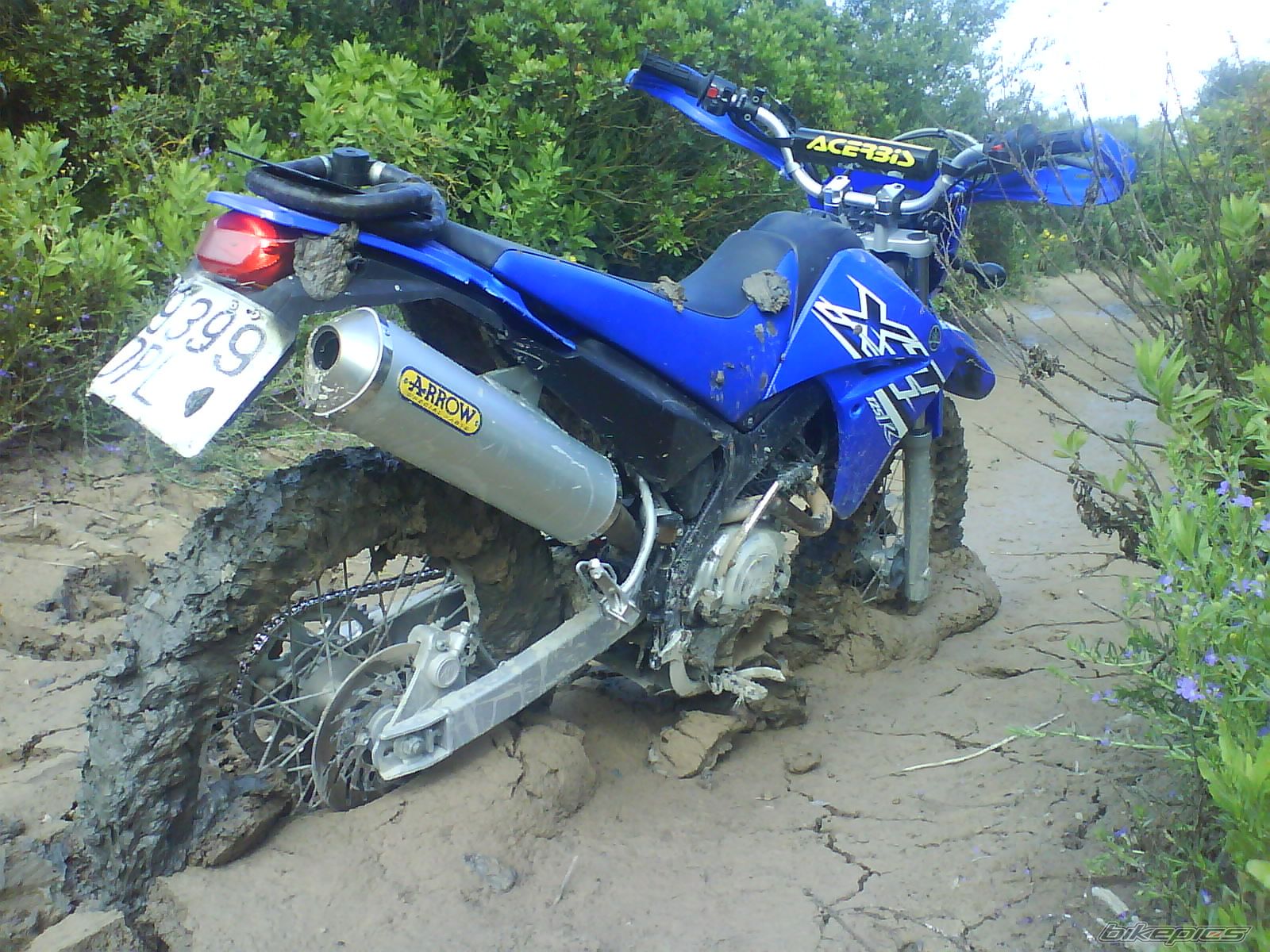 Photo 984447