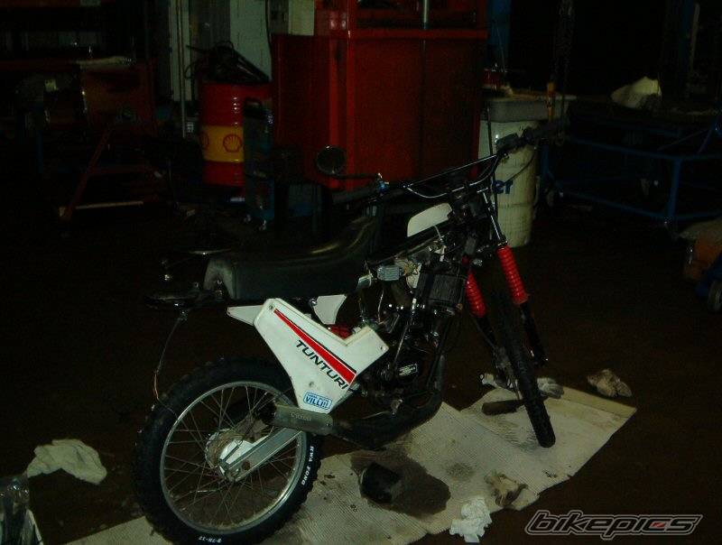 Photo 98450
