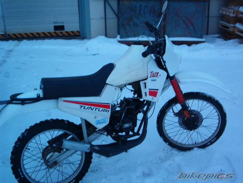 Photo 98451