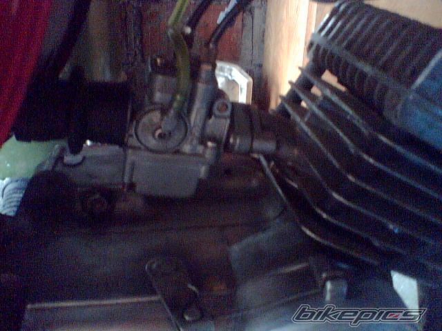 Photo 984664