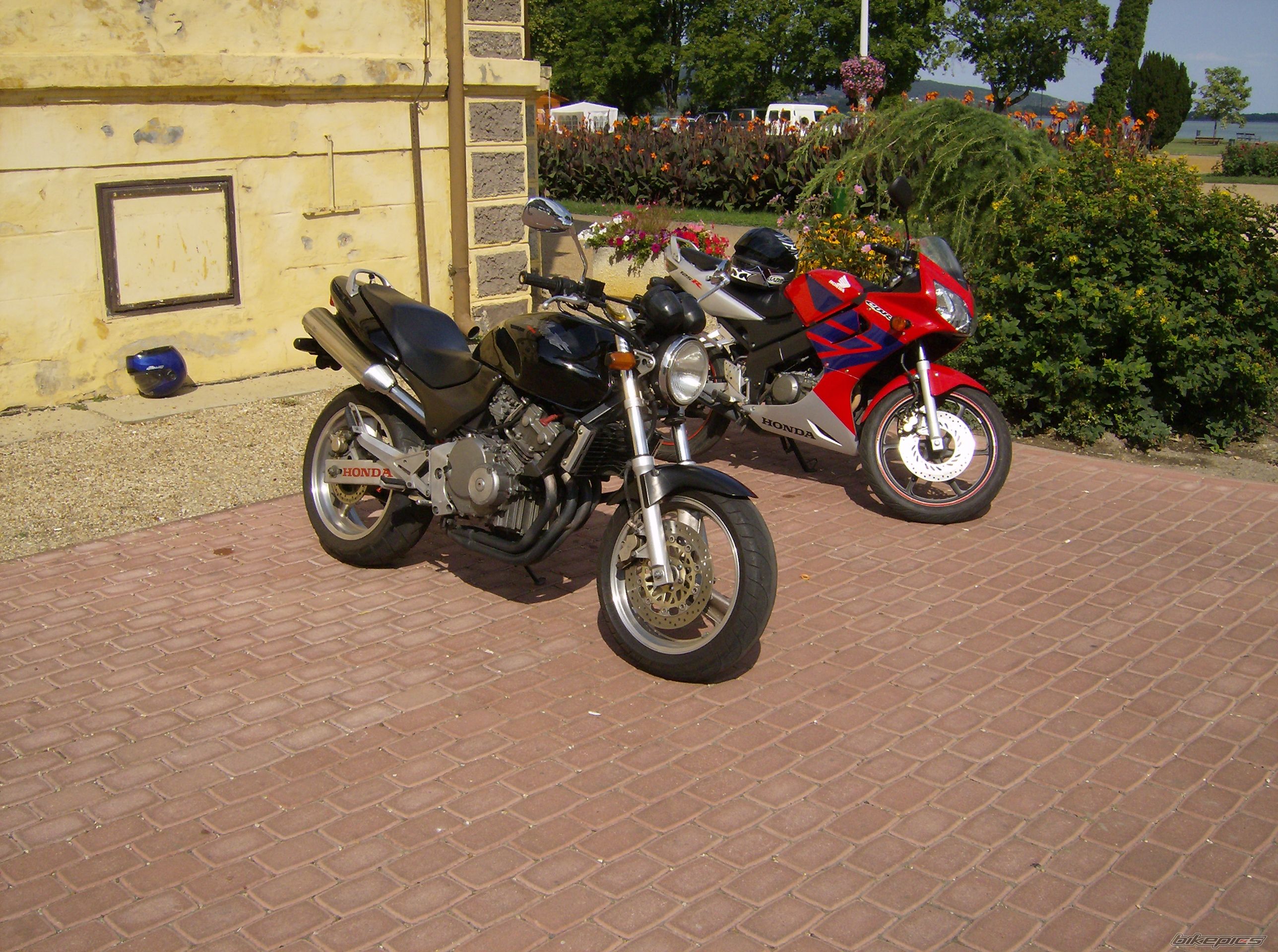 Photo 985048