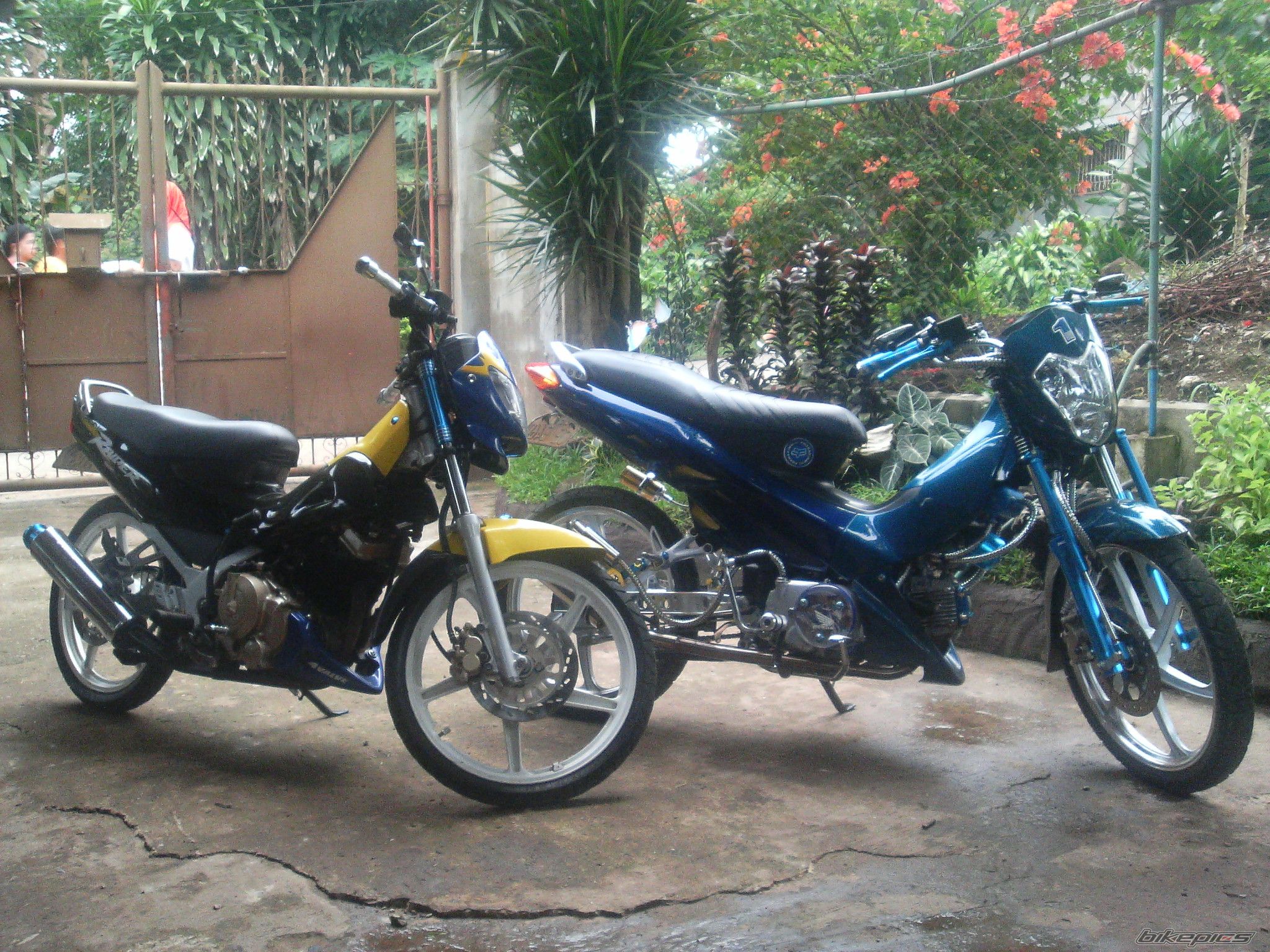 Photo 985252