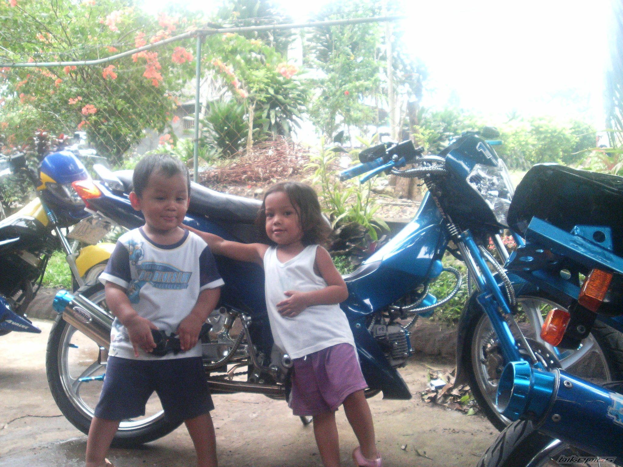 Photo 985261