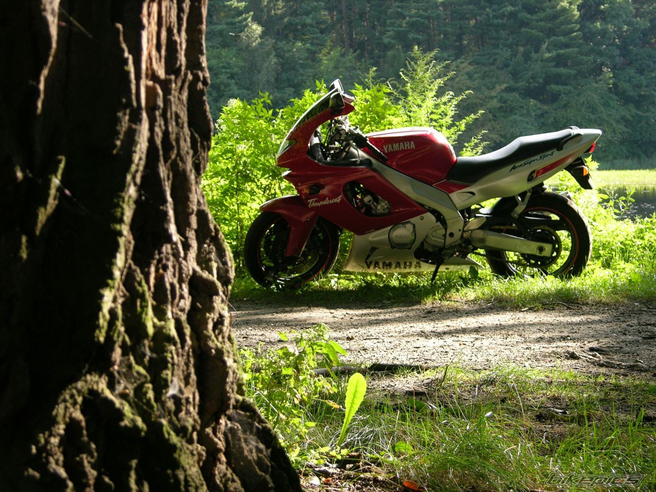 Bike Photo 985299