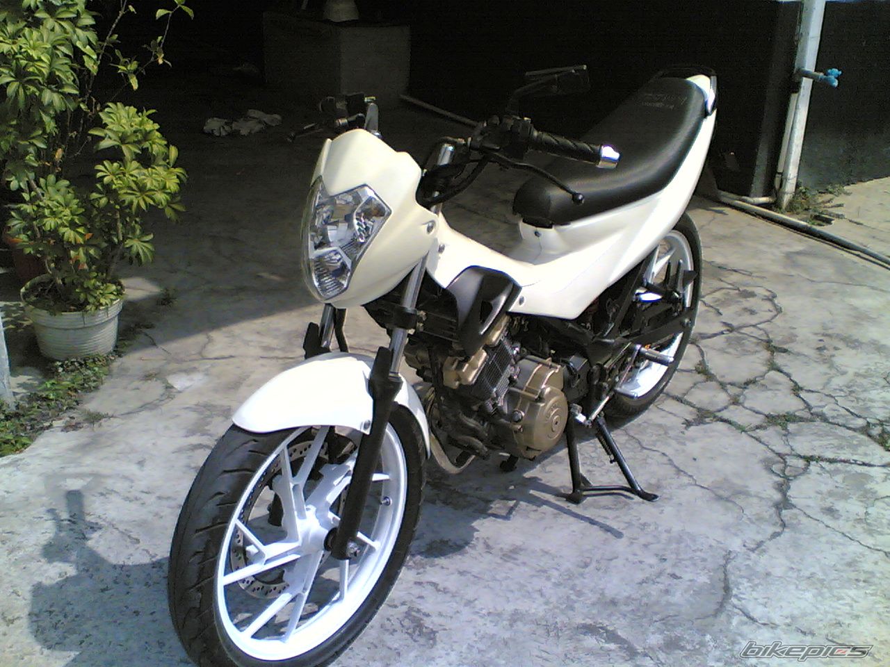 Photo 985690