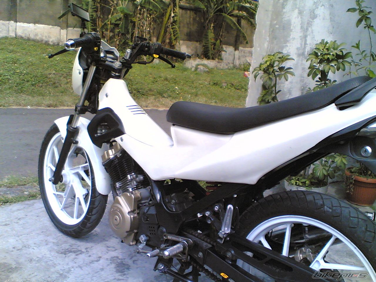 Photo 985694