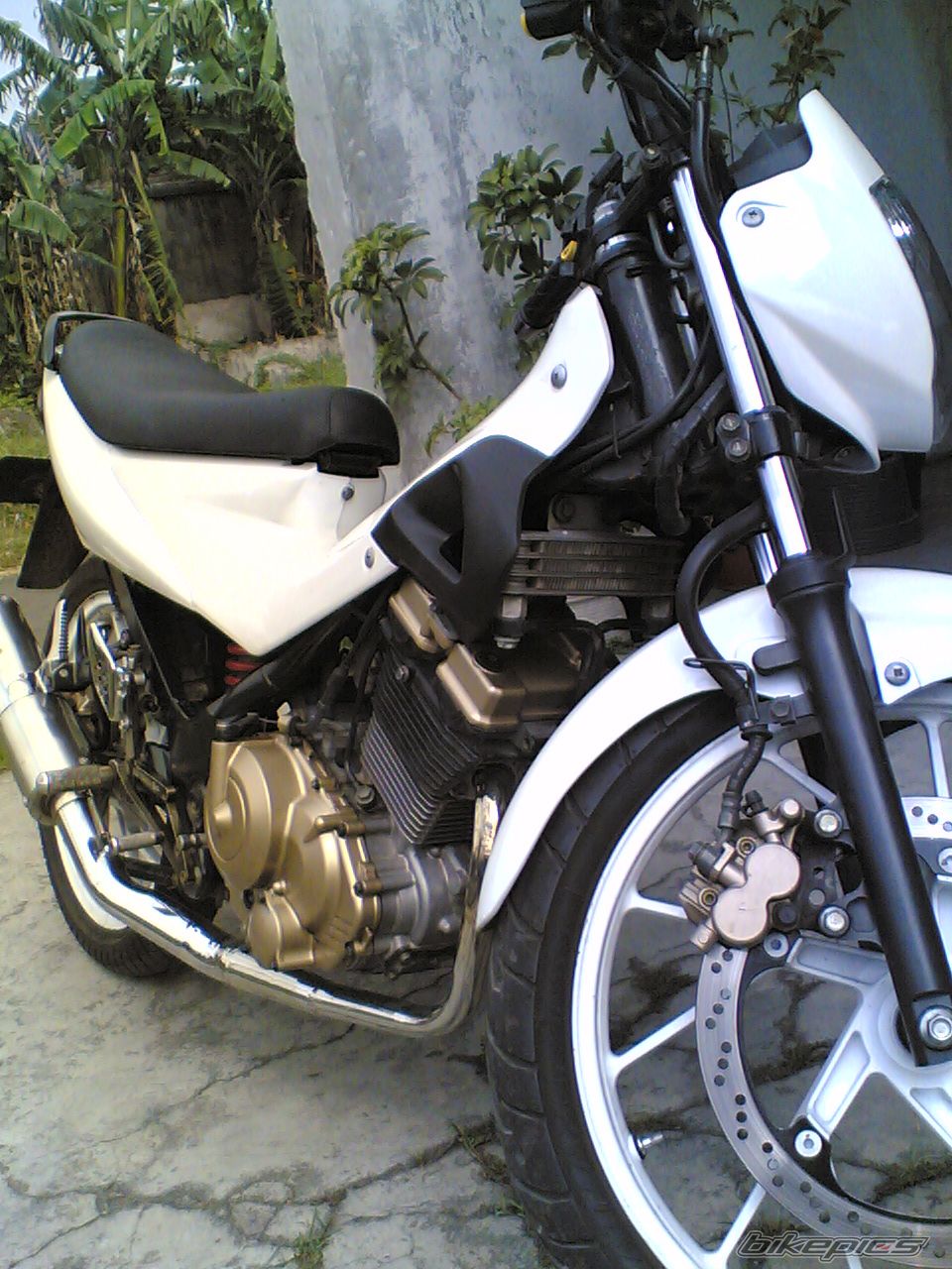 Photo 985752