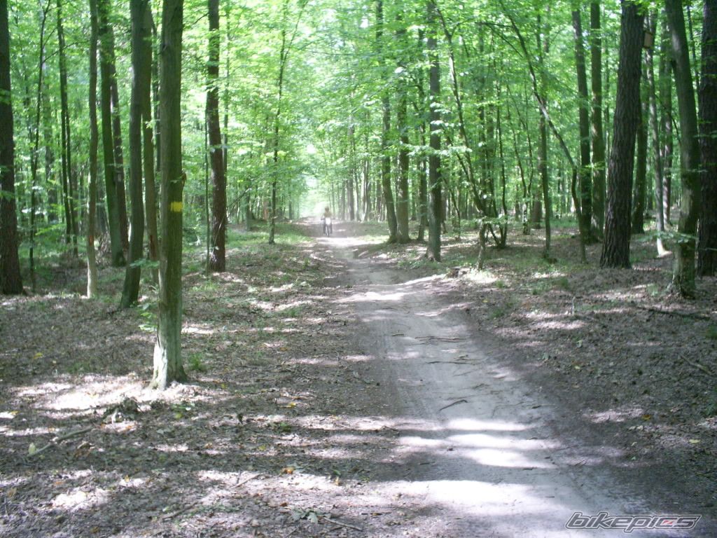 Photo 985871